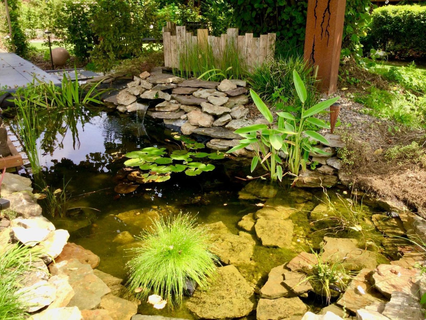 Bed & Breakfast D'hote Saint-symphorien